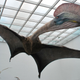 Modelo a escala del Hatzegopteryx. Foto Apotea